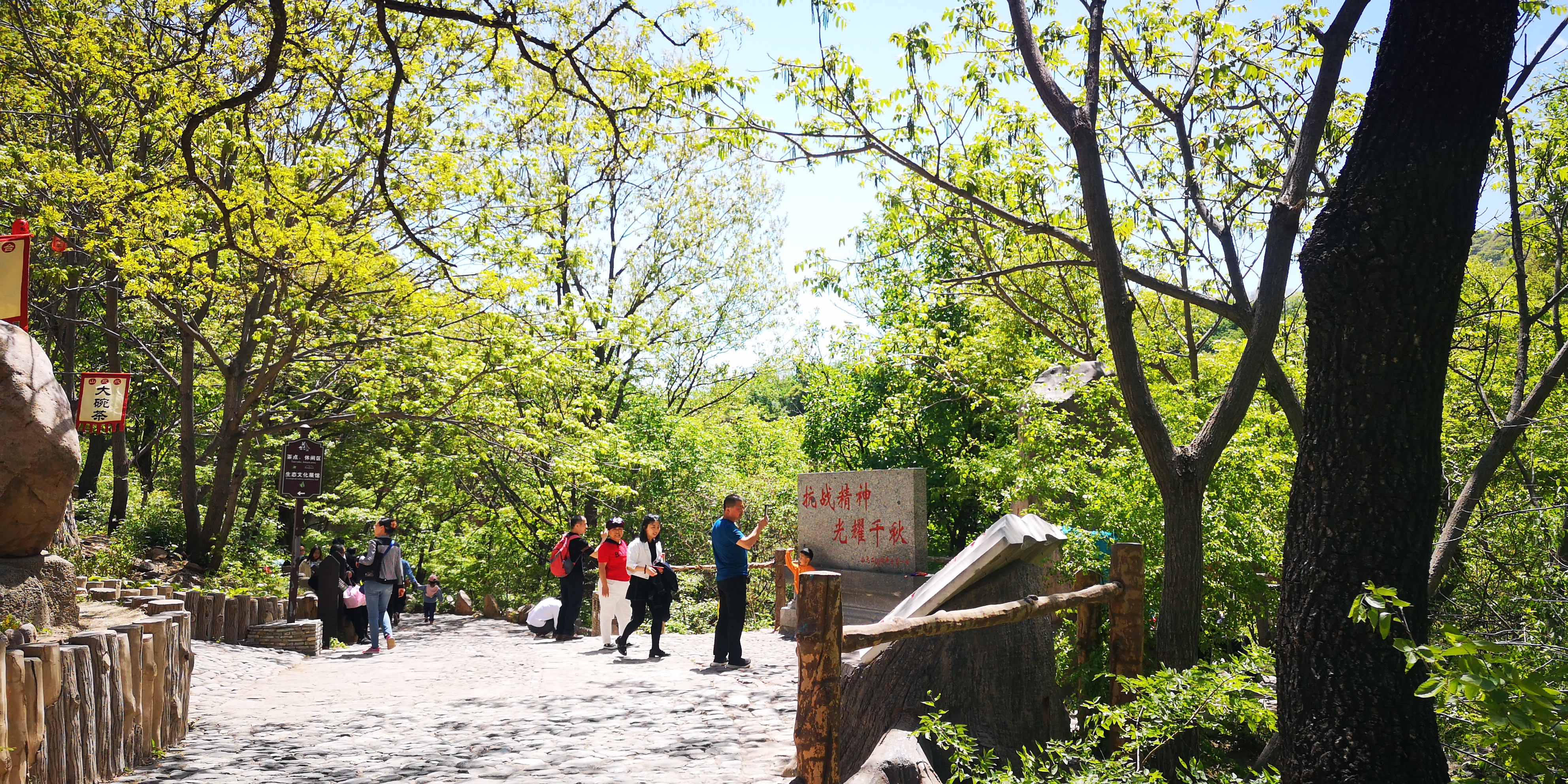 天津梨木台景区值得夏天去的地方,天津蓟县梨木台风景区路线