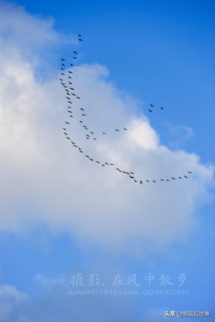 中高考必考古诗词,中高考必背古诗词朗诵