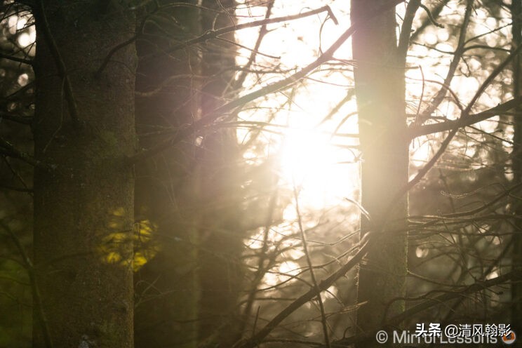 索尼微单长焦镜头55-210,索尼微单长焦镜头最新款