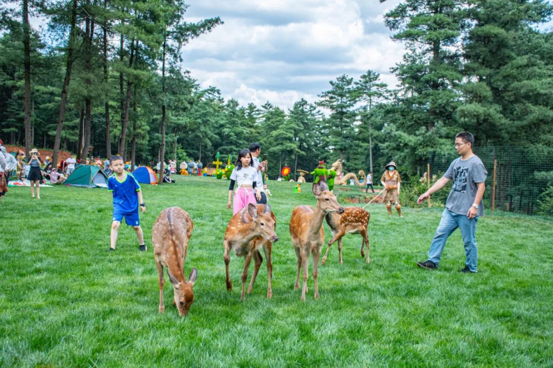 周末周边游盘点，昆明周边那些舒适度假地，景美、露天、距离近