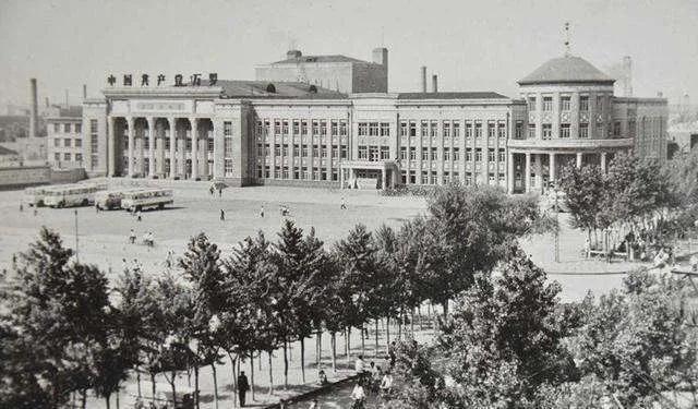 知青往事回忆北大荒,知青回忆悲惨往事