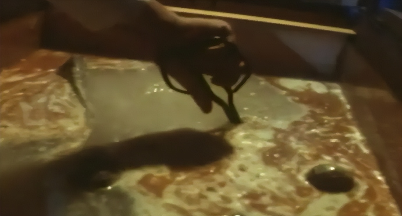 连续杀人案真实案例,恶性杀人案真实案例