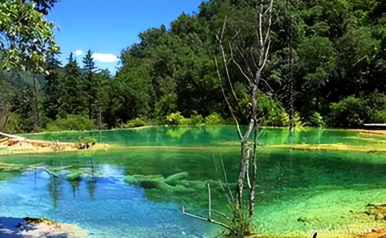 游玩武隆天生三桥和芙蓉洞住哪里,武隆仙女山天生三桥游