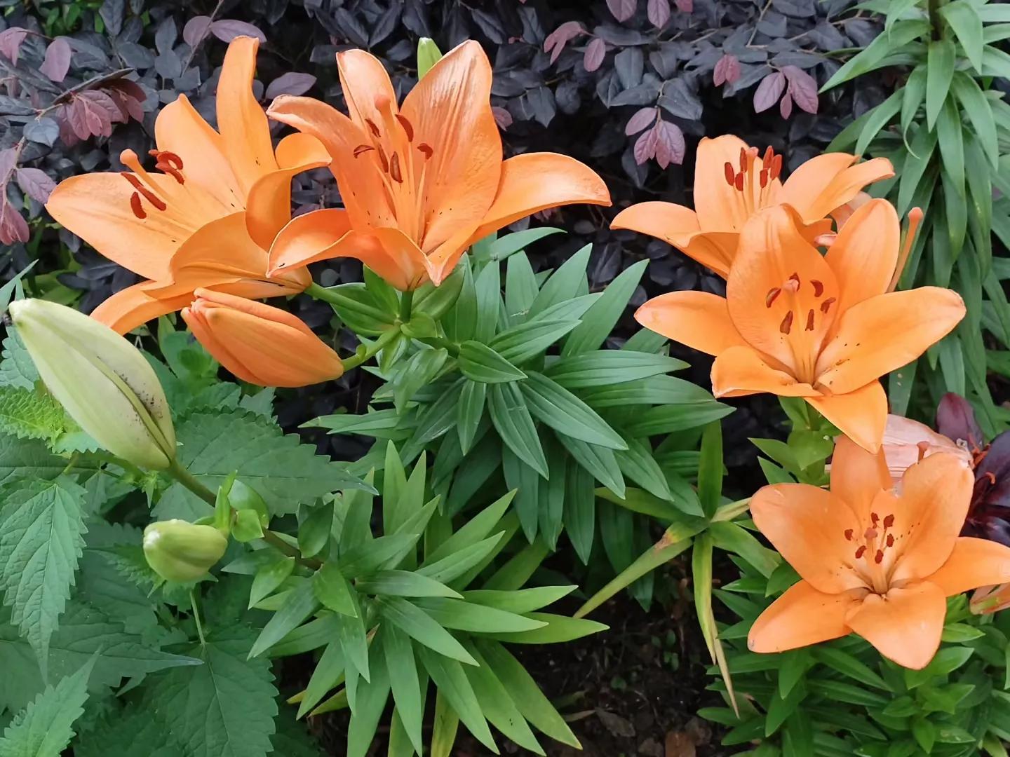 我和女局长的一段往事(小小说)