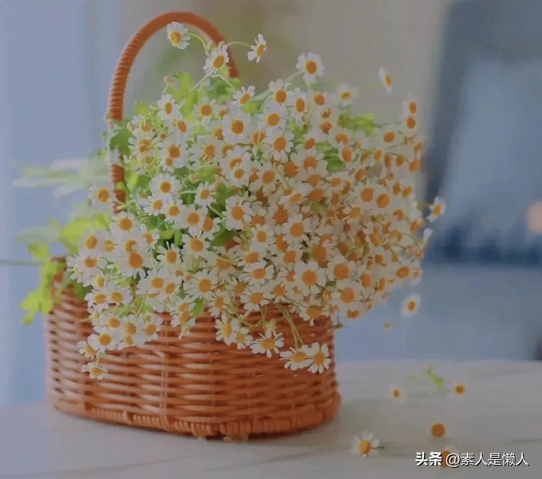 你读过一段最有力量的话是什么,你读过最有力量的一段文字是什么