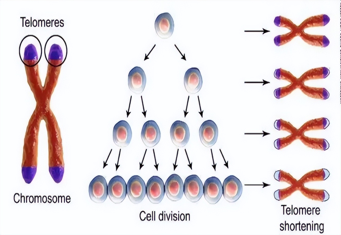 90岁老人去世前有什么征兆,老人即将去世眼睛征兆是什么样的