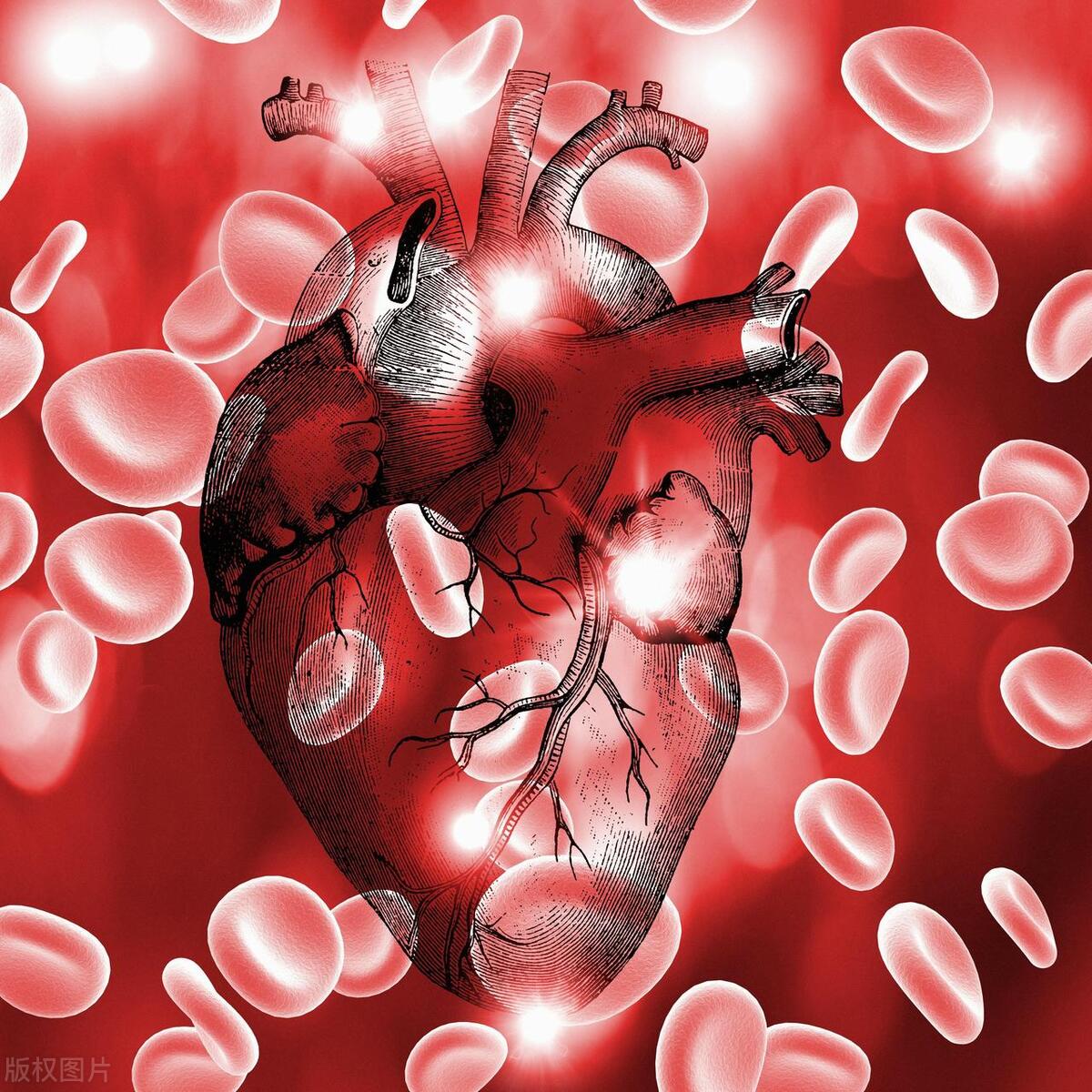 每天喝二两或不沾酒哪个更健康,每天都喝二两酒的人还很健康