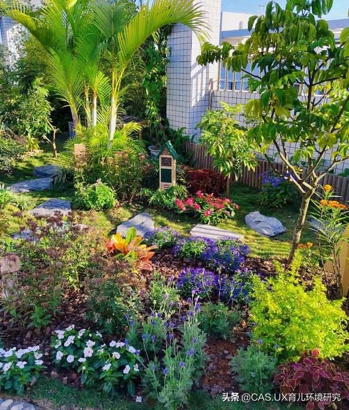 CAS儿童空间|生命花园:在校园屋顶打造感知自然的实验场