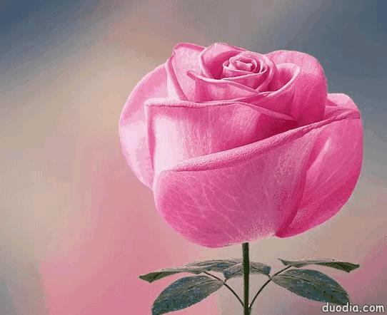 走在乡间的小路上,走在乡间的小路上口哨版