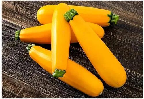 香蕉西葫芦哪里卖,香蕉西葫芦从育苗到结果要多久