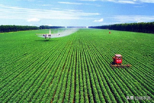 农业补贴致富项目,农业致富项目有哪种