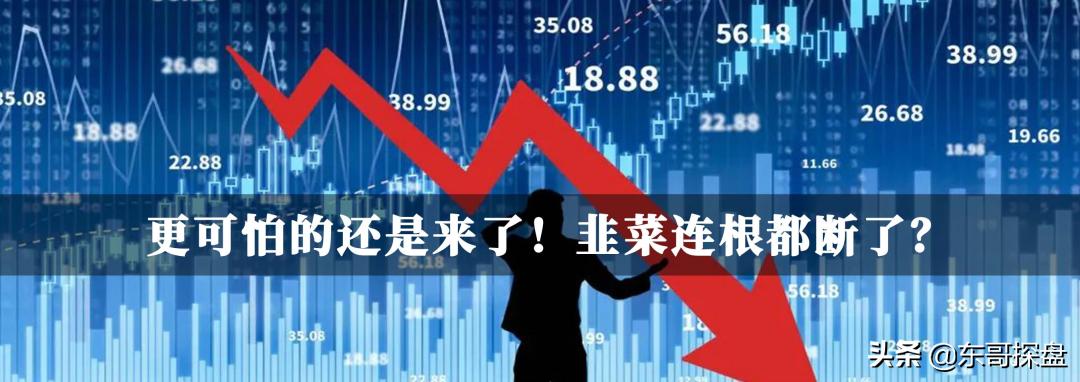 继续无脑买入,还在拼命买房可以吗