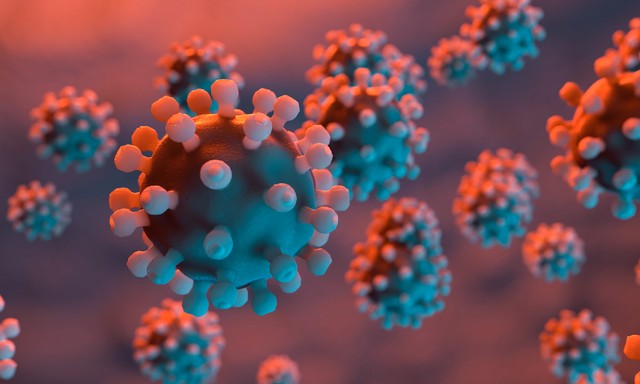 细菌大部分是有害的还是有益的,细菌屋长绿藻是好还是坏