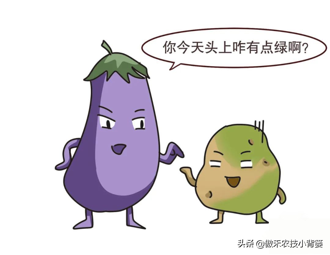 家里土豆发芽了埋到土里会长吗,放在家里的土豆发芽了怎么办