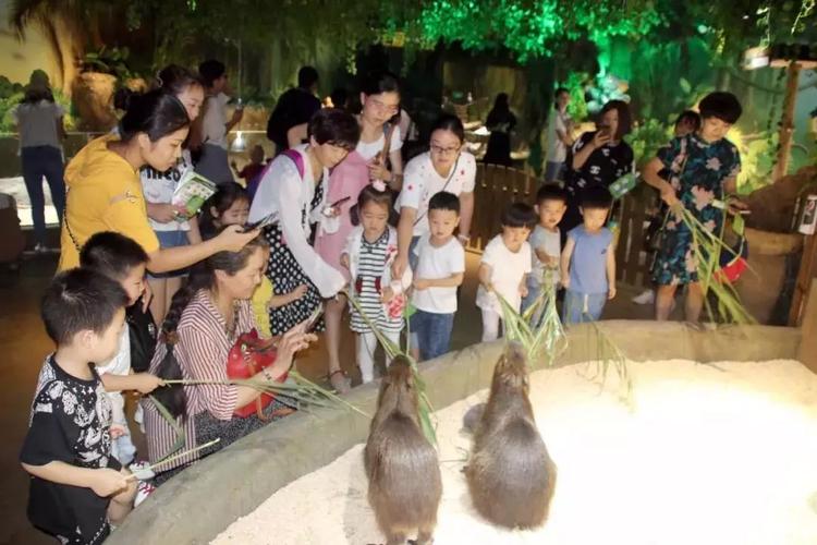 鍖犲織钀屽疇涔愬洯鍝佺墝涓績,鍖犲織钀屽疇涔愬洯鏀荤暐