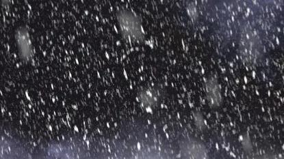 *园春沁**•虎年初雪