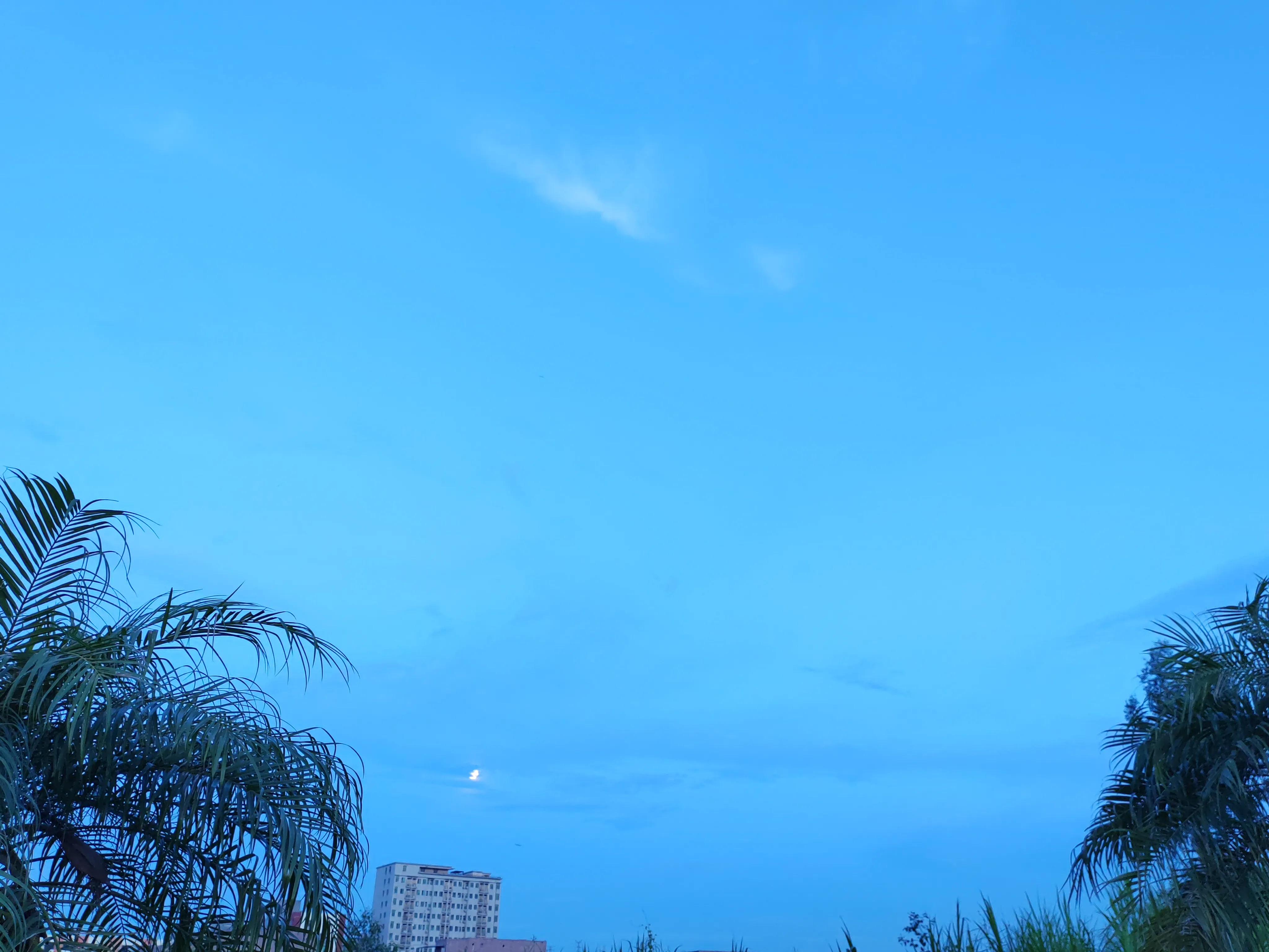 一个成功老股民的炒股血泪史,一个炒股人的下场