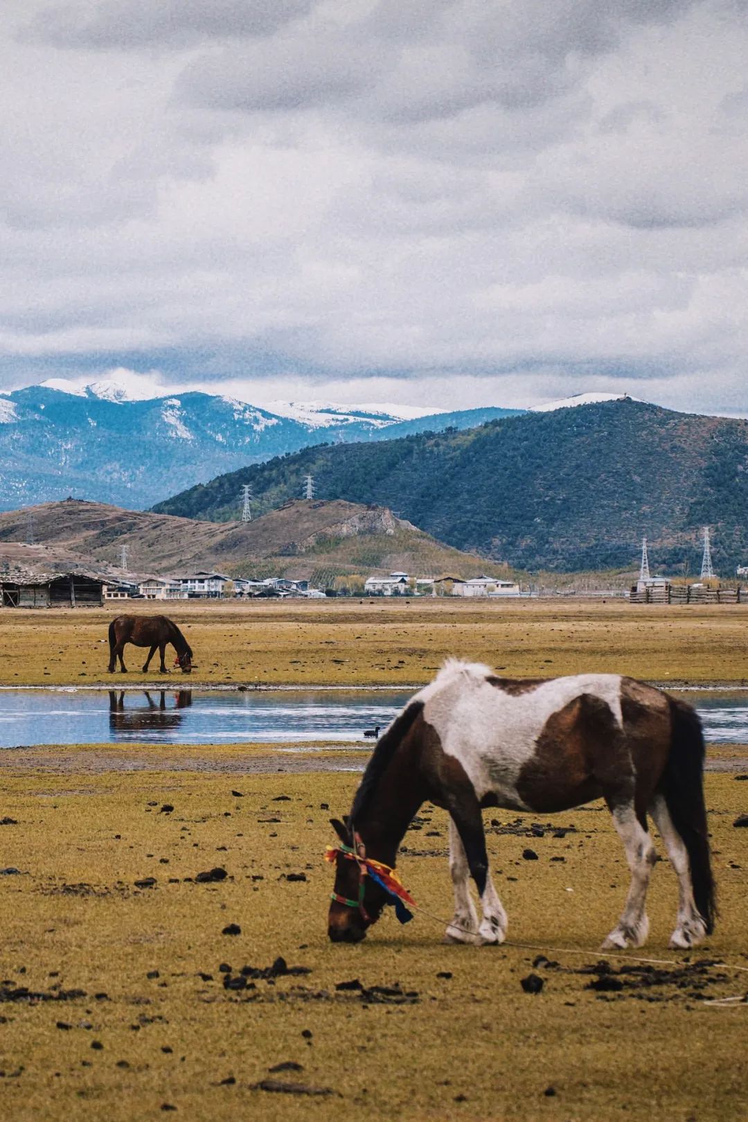 云南香格里拉自驾路况好走吗,香巴拉茶马古道