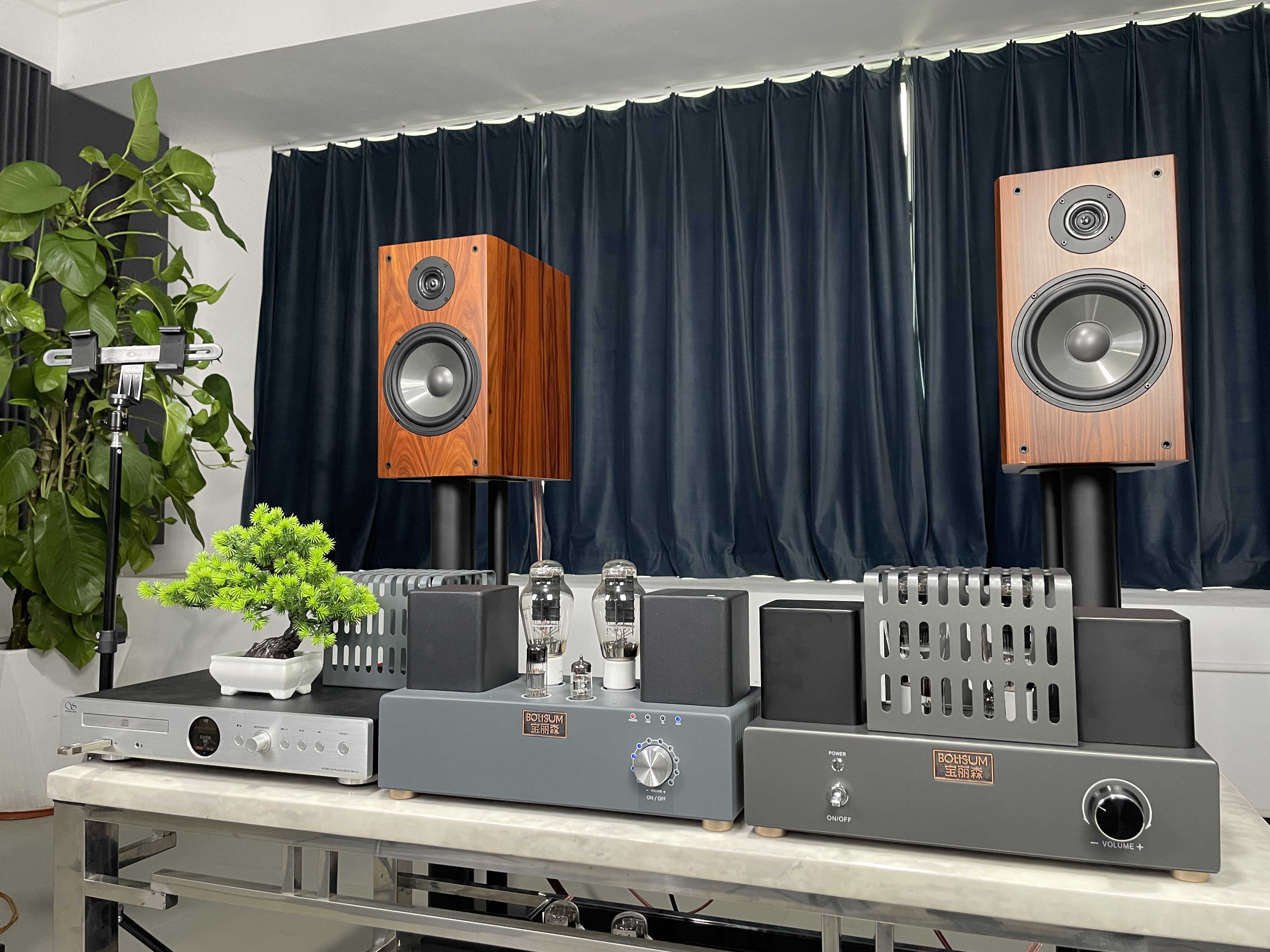 300b单端胆机需要加胆前级吗,300b单端胆机的胆味浓吗