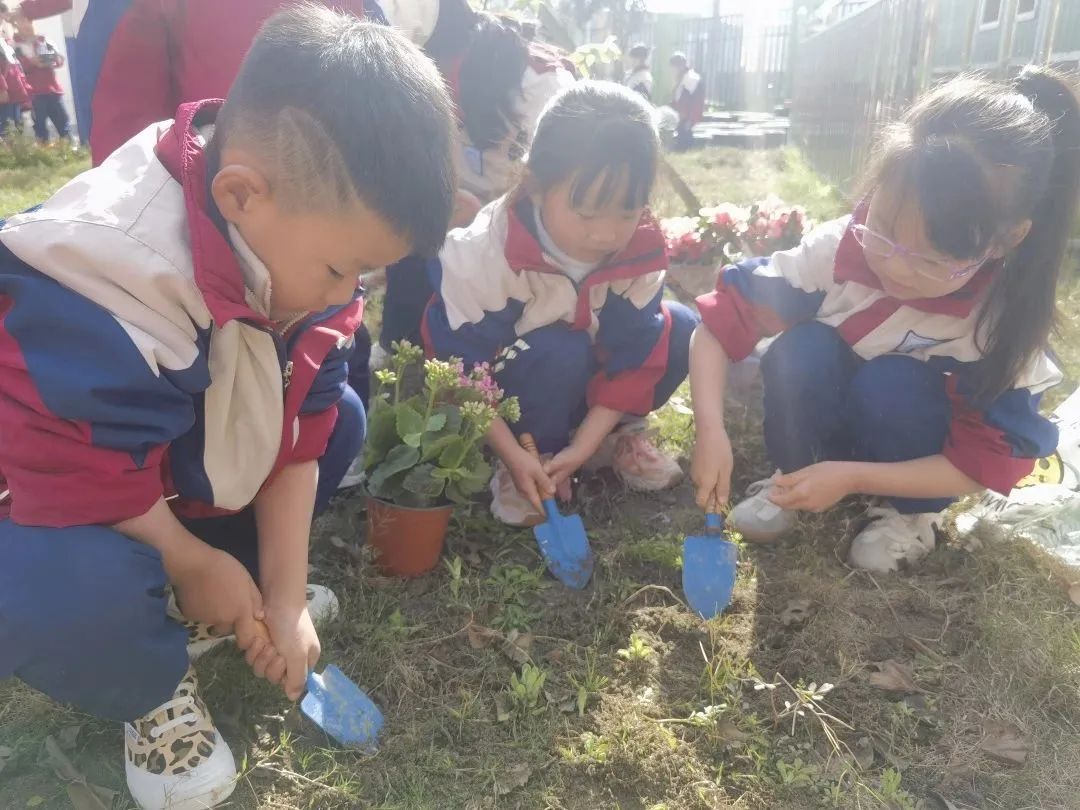 洪雅县第四幼儿园叫什么名字,洪雅第四幼儿园在哪里