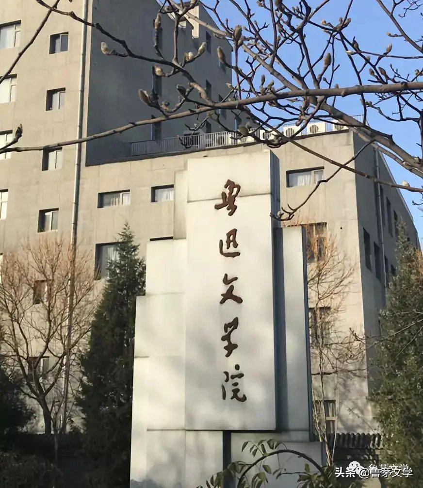 散文作家苏沧桑,冬酿散文