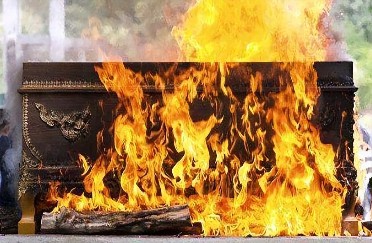 人死火化是浪费资源？动物死了进入生态循环，人类却打破自然规律