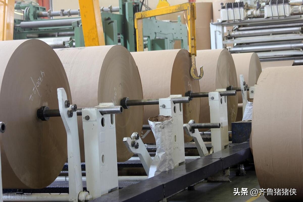 中国十大造纸企业,山东十大造纸企业