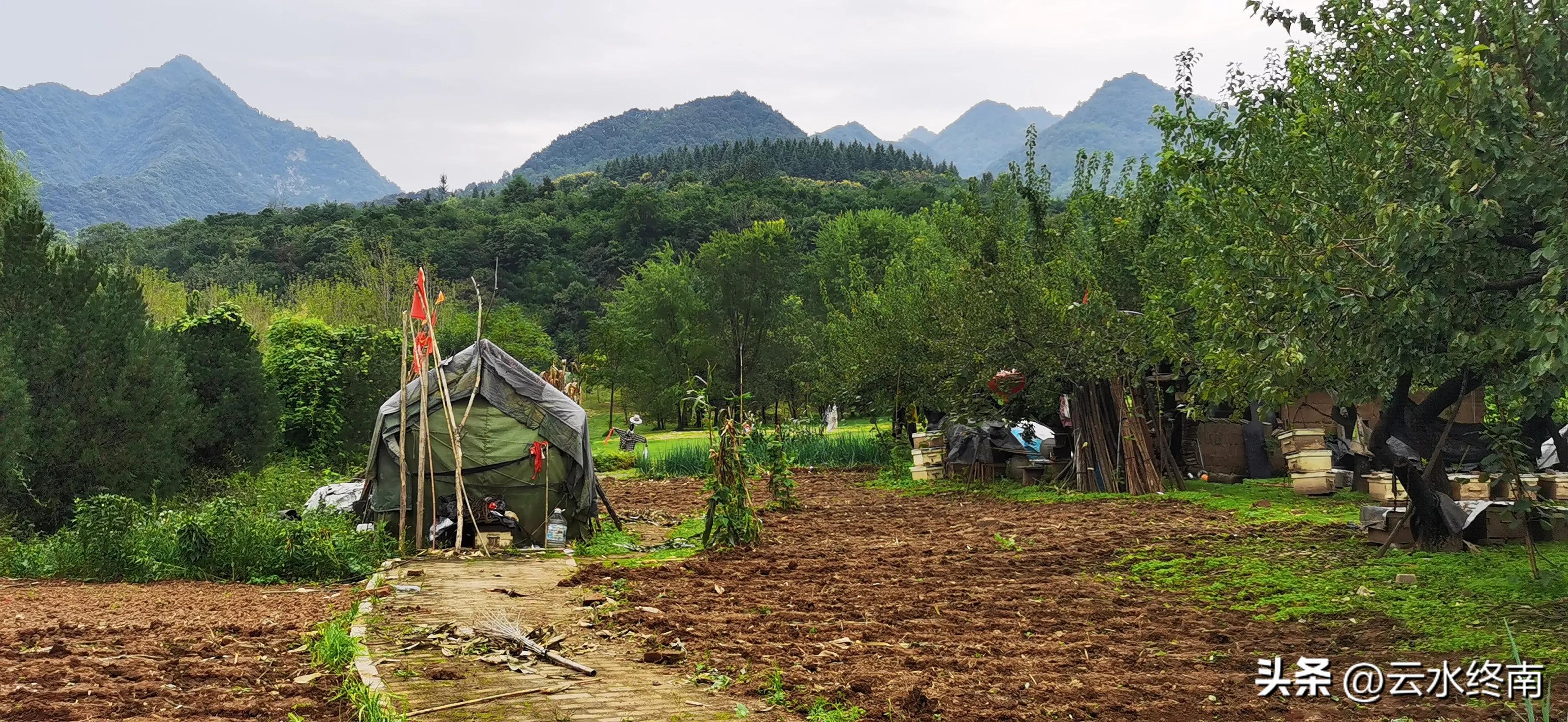 世界上最大室内植物园在哪,去世界上最大的动物园