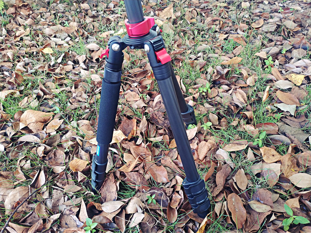 鍑敮鏂疌T2542纰崇氦缁翠笁鑴氭灦,璇磋蛋灏辫蛋杞绘澗鍑鸿