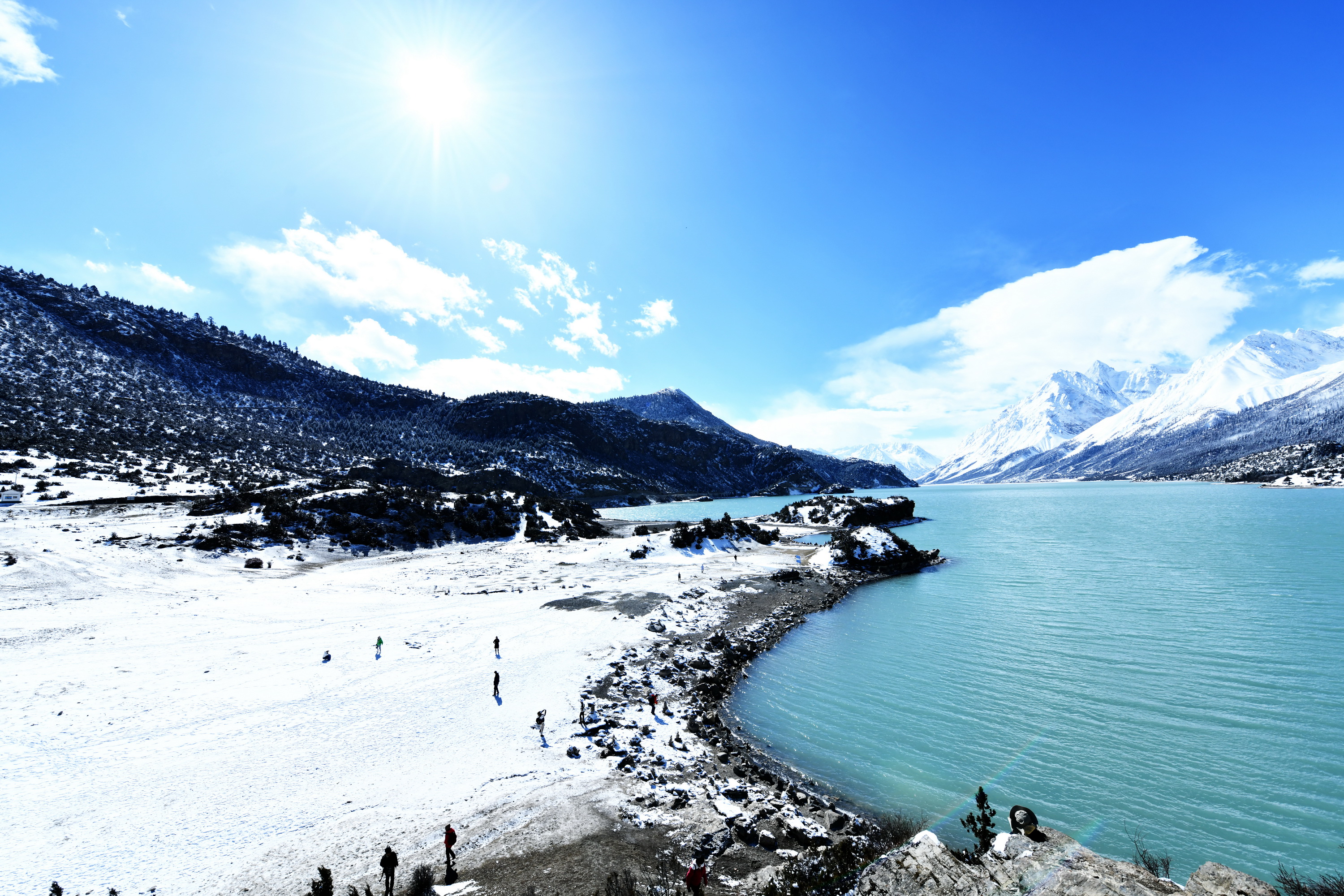 雪域林芝桃花图片 (在雪域江南西藏林芝邂逅漫山桃花)