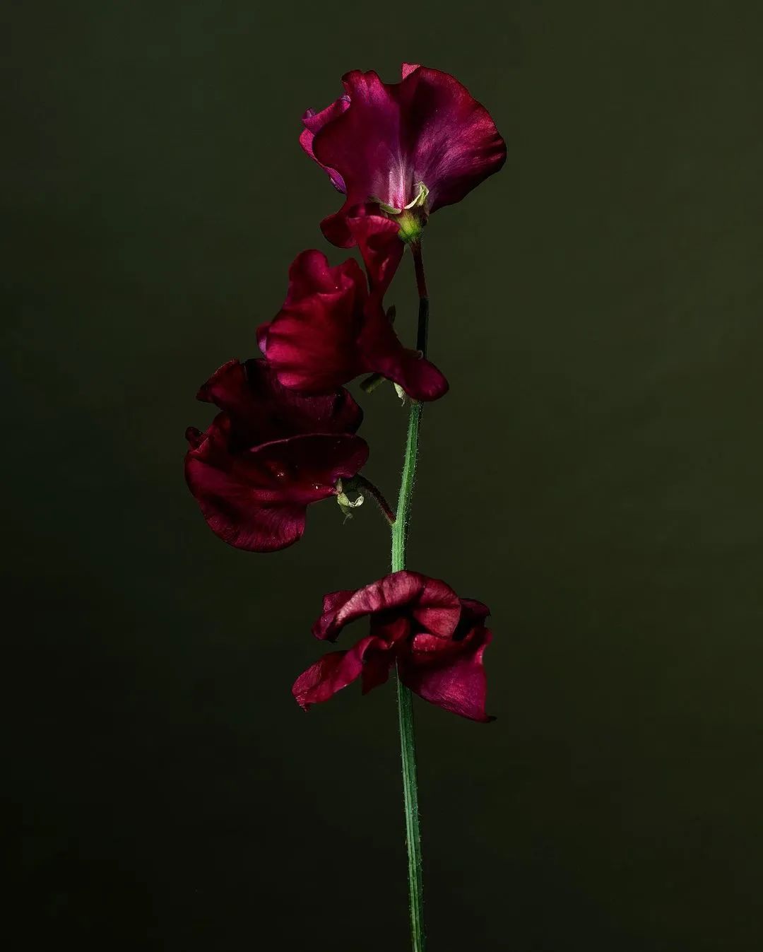 时髦赢家,为什么现在女人是大赢家