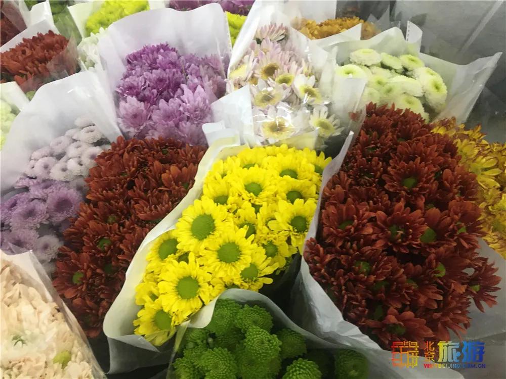 京南永清花卉批发市场,京南花卉批发市场