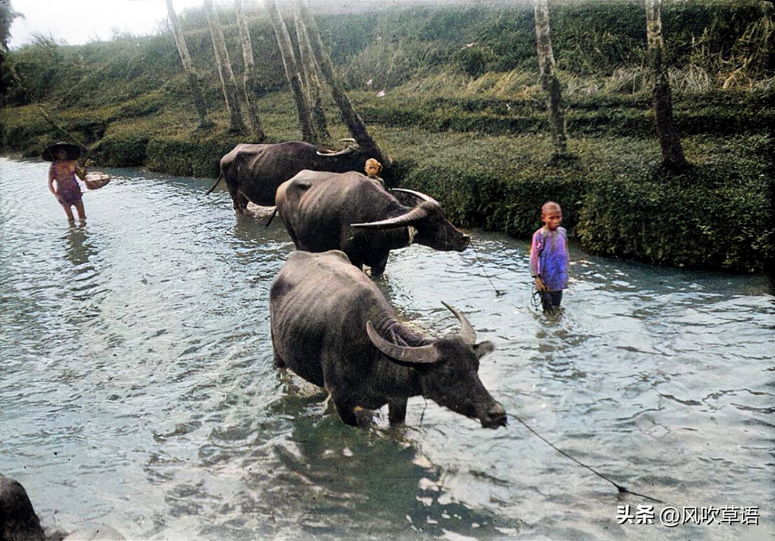 绵阳安县老照片,四十年前四川绵阳