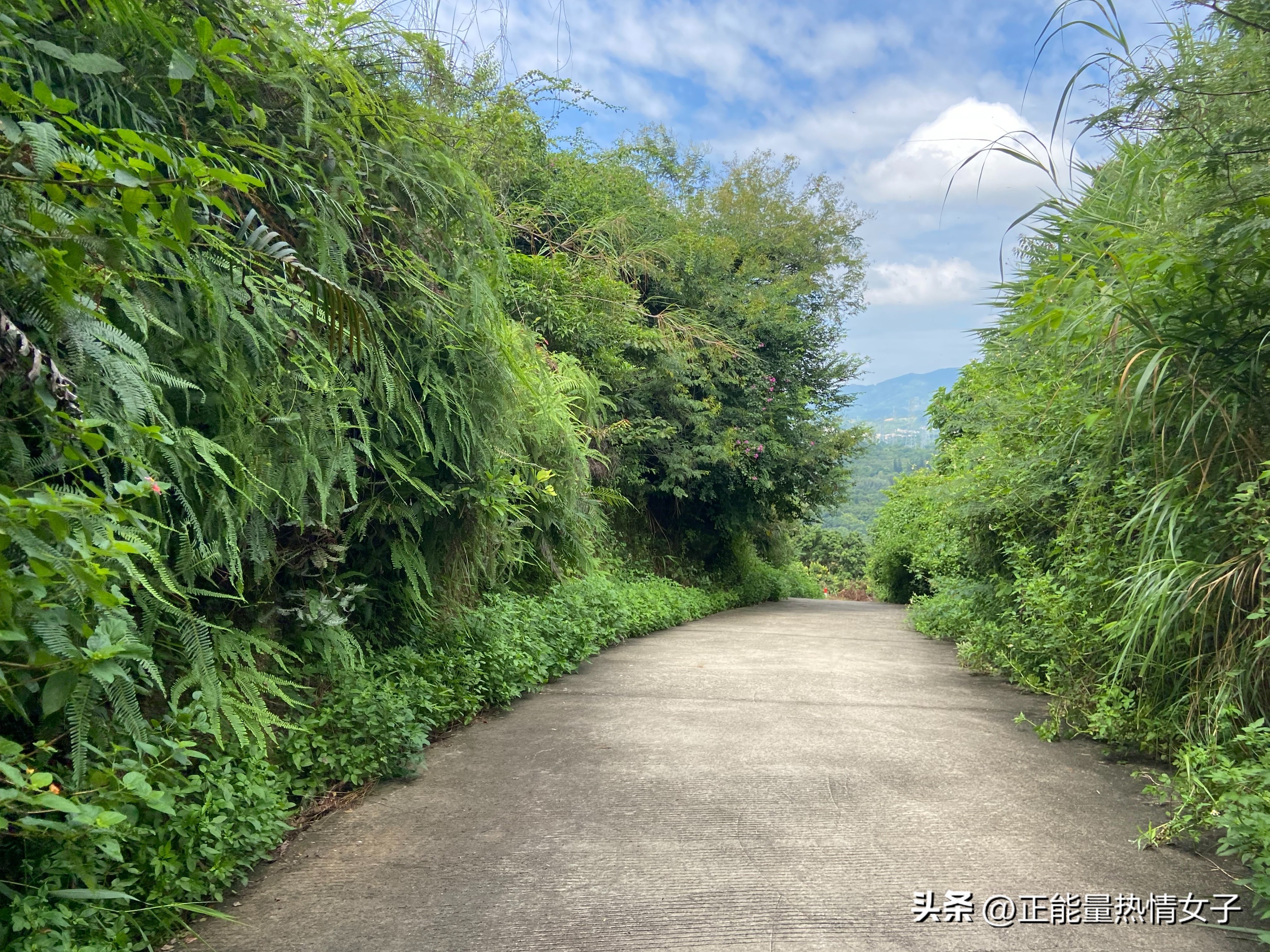 广州梅花岭森林公园,广州市白云区五峰山森林公园