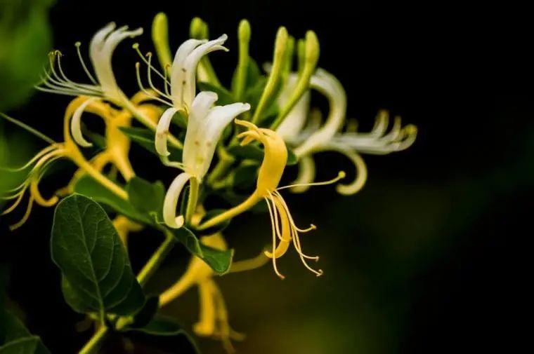 kissmequick音乐,kissmequick