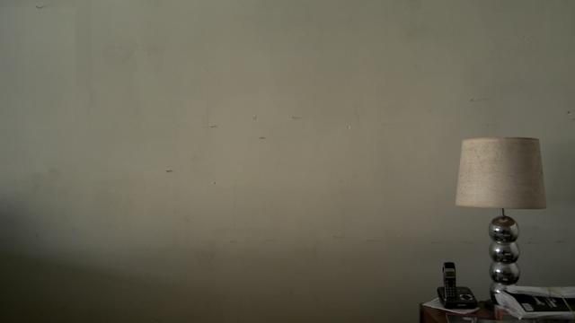 丁克家庭晚年现状,丁克家庭的去世无人知