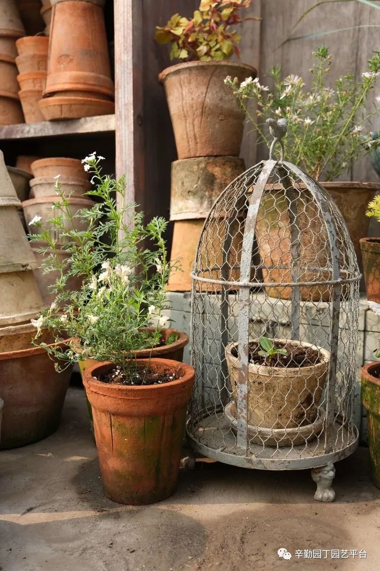 第八届园丁奖露台组《030号》洛基花园