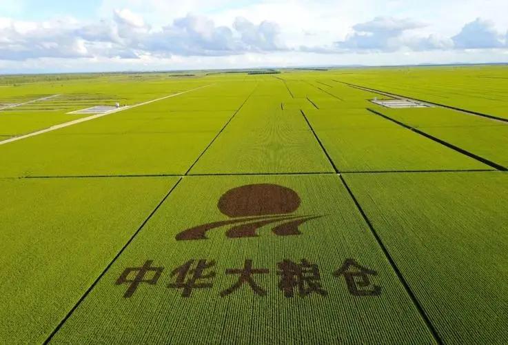 北大荒为什么要退耕还荒,北大荒退耕是什么时候