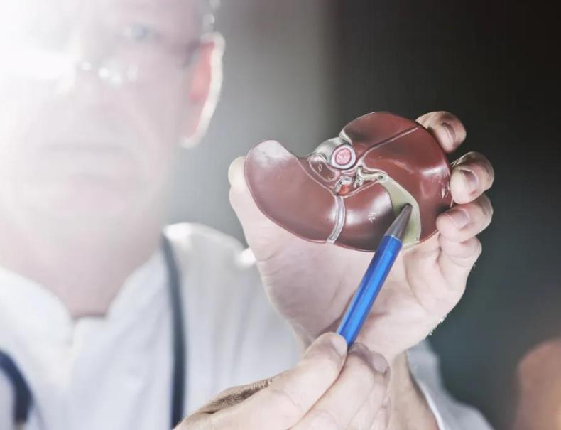 人类真的能杂交吗,人类动物能混血吗