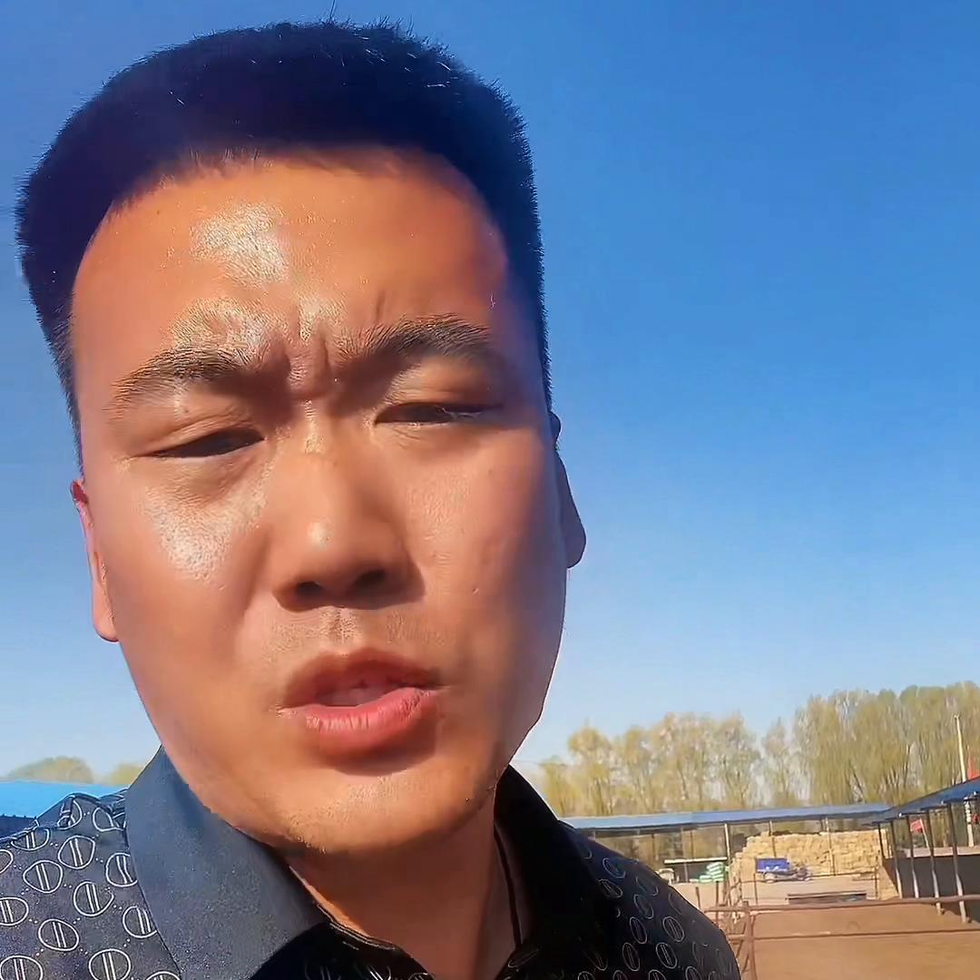 养牛不挣钱，自身找原因@抖音短视频