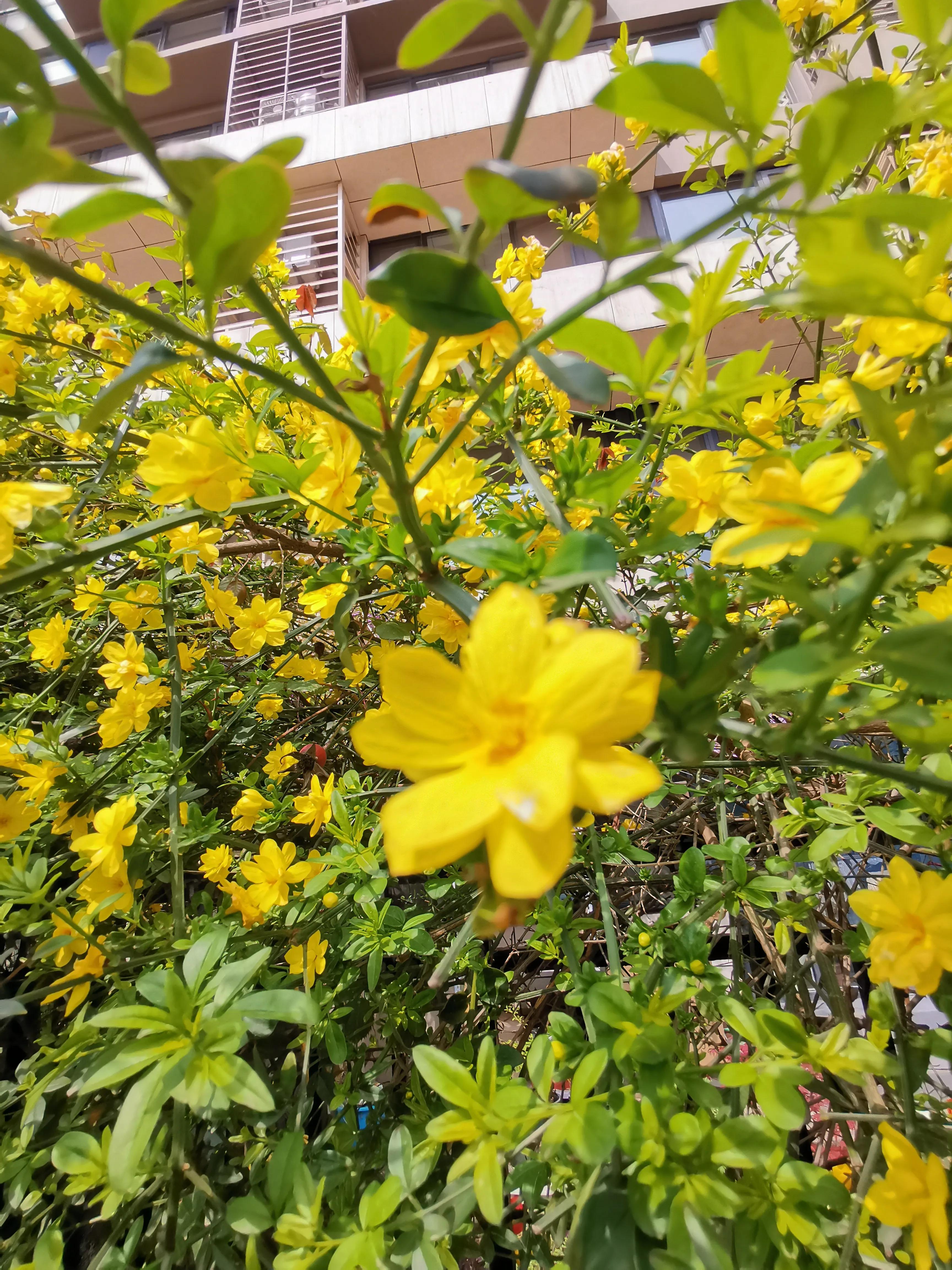 什么叫幸福什么叫真爱,什么叫幸福豫剧原唱