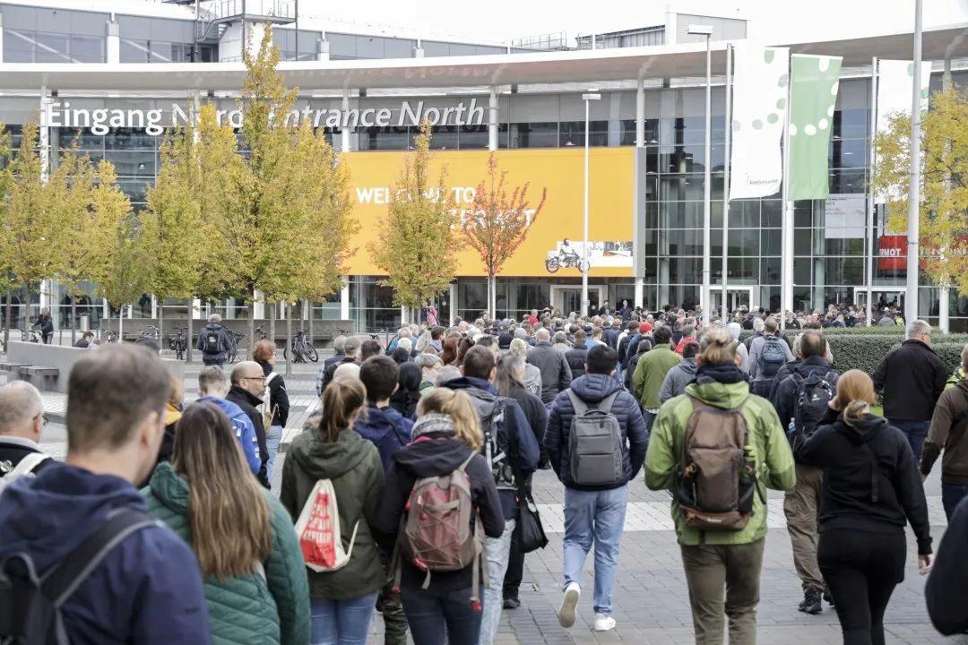 royalalloygp250测评,royalalloygp150红色