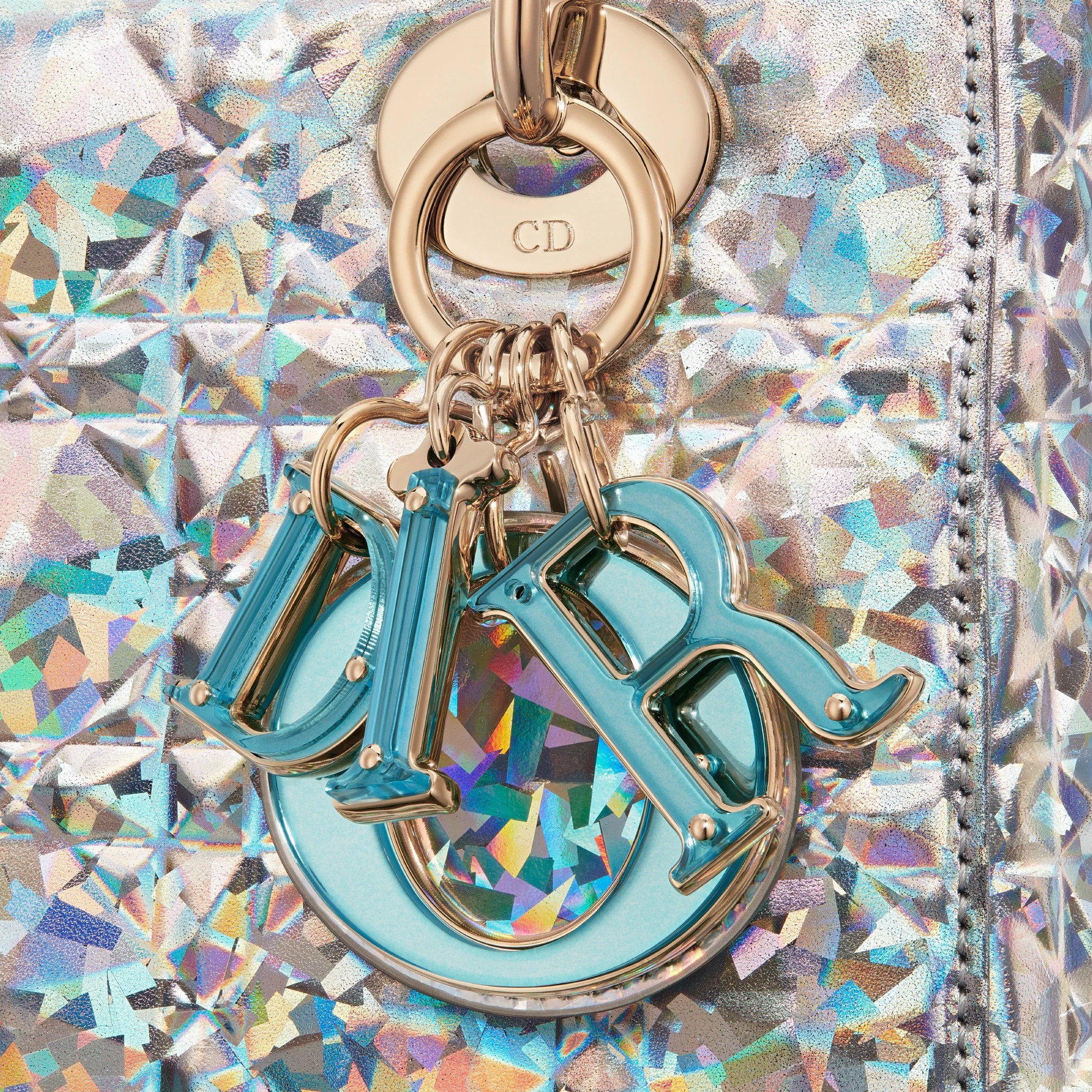 Dior刺绣包包,dior刺绣豹纹戴妃包