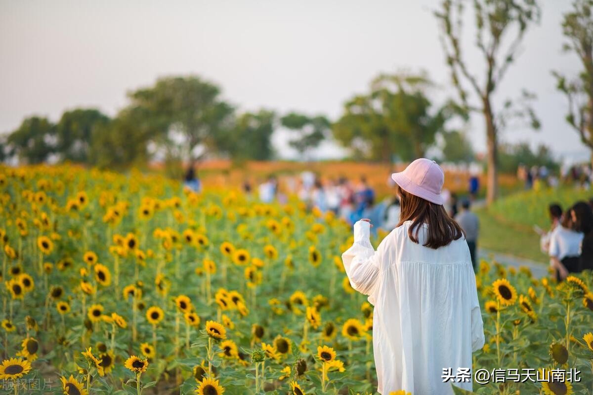 在钻井队上班有前途吗,钻井队临时工和正式工待遇