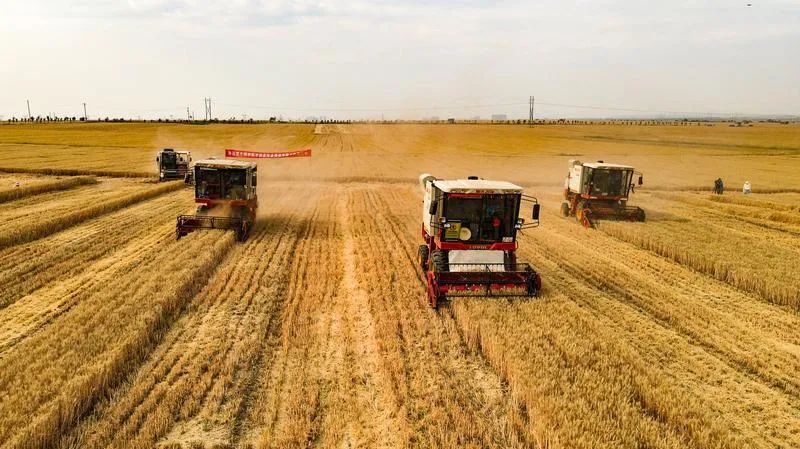 江苏省人大政府工作报告全文,政府工作报告2023权威解读