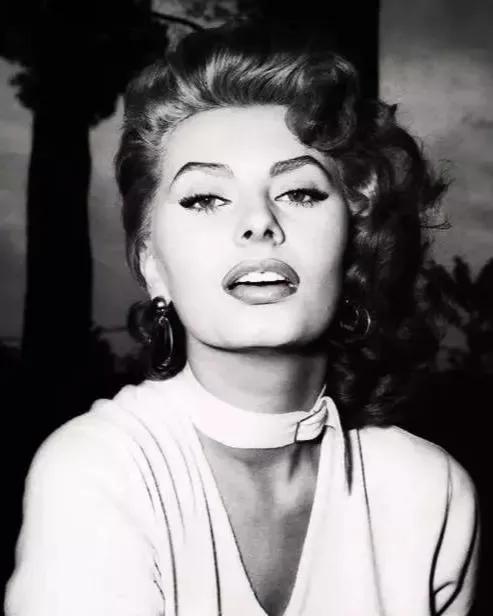 意大利著名演员索菲亚罗兰,为什么索菲亚罗兰是意大利玫瑰