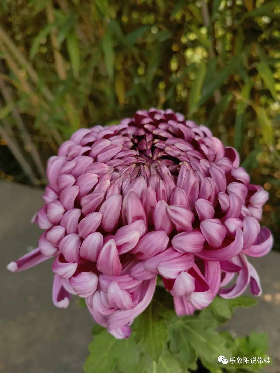 时间都去哪儿了小品完整版,时间都去哪儿了感悟