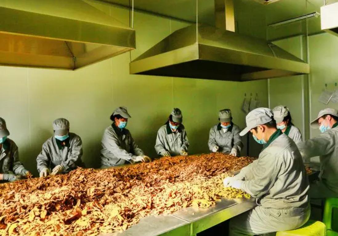 更年期脾虚的表现症状,脾肾虚和肾虚的区别