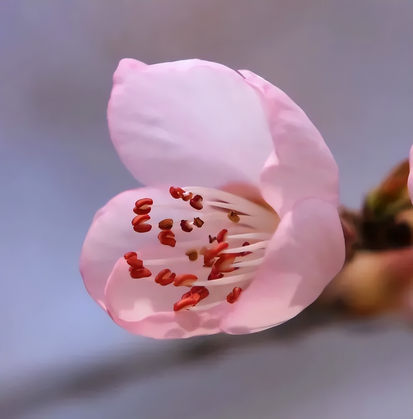 一个男人不找你你还要主动找他吗,男人不联系你也不拉黑你怎么回事