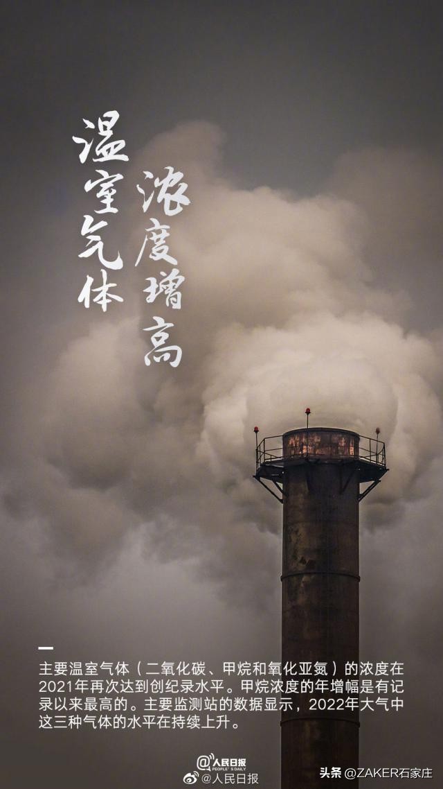 石家庄农批接驳专线,石家庄农批中心接驳专线